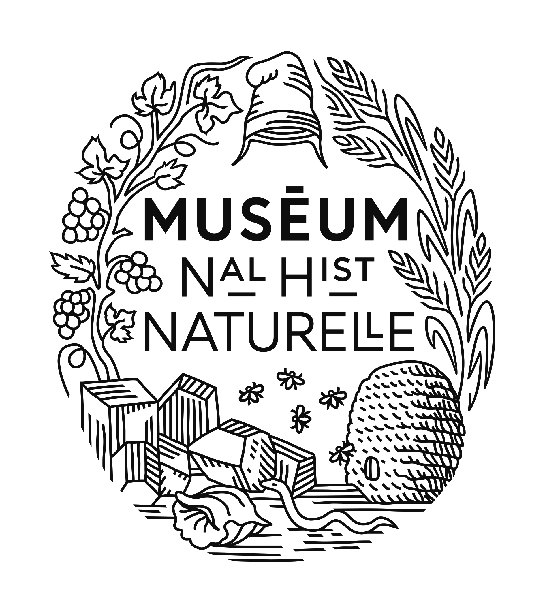 Logo de MNHN